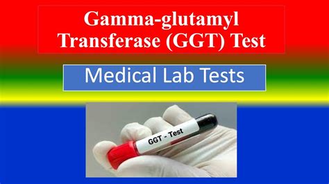 ggtp blood test